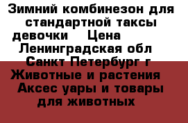 Зимний комбинезон для стандартной таксы-девочки. › Цена ­ 1 800 - Ленинградская обл., Санкт-Петербург г. Животные и растения » Аксесcуары и товары для животных   